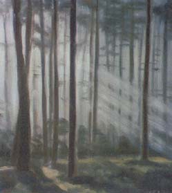 Werk von Sylvia Gahr